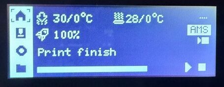 P1S LCD
