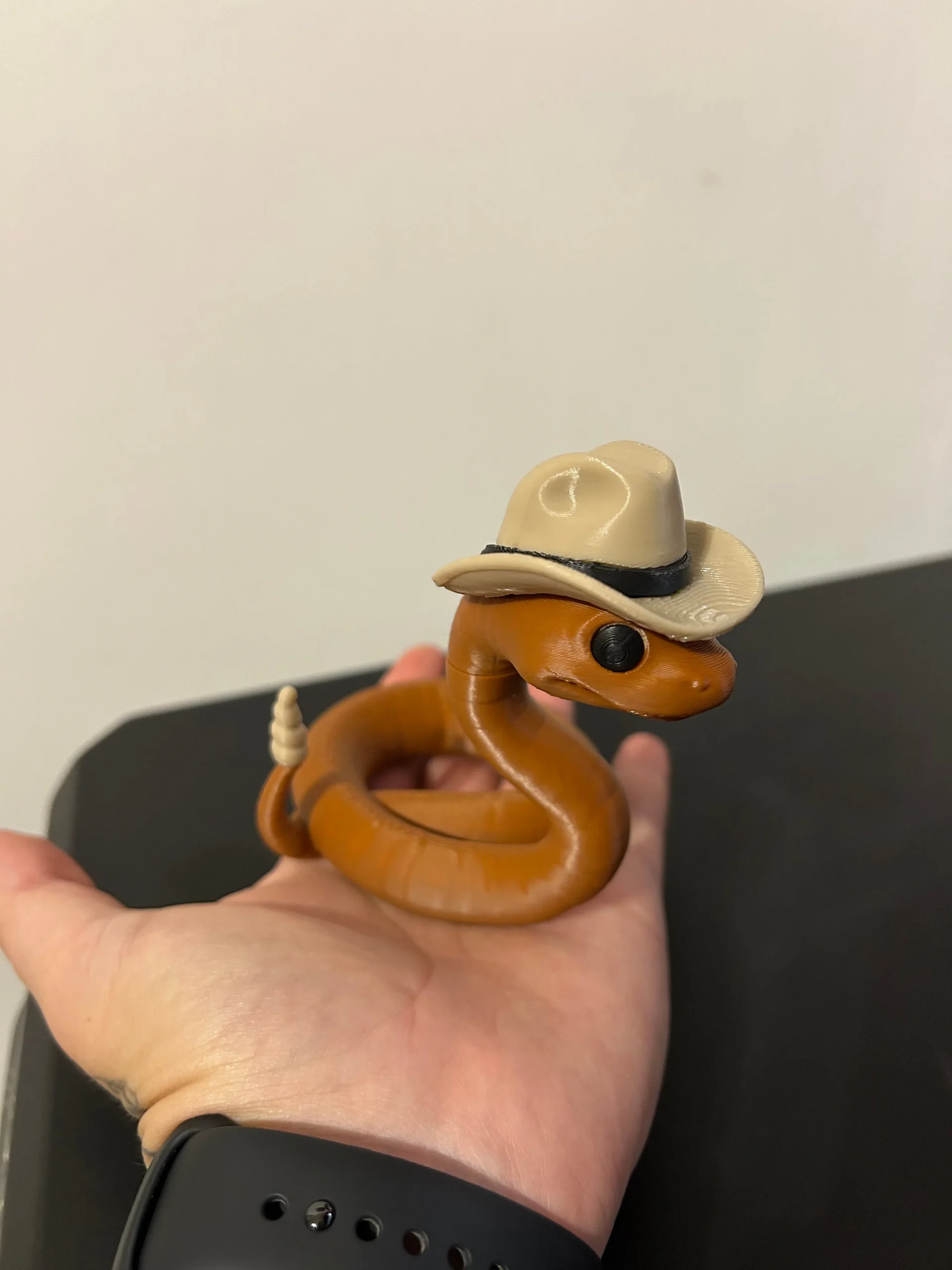 Linguicine Serpentine - Image 4